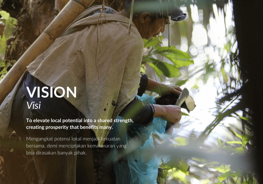 Vision: To elevate local potential into a shared strength, creating prosperity that benefits many.